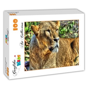 Grafika (00957) - "Lioness" - 100 pezzi