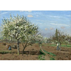 Grafika (02028) - Camille Pissarro: "Orchard in Bloom, Louveciennes, 1872" - 1000 pezzi