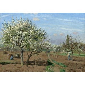 Grafika (02028) - Camille Pissarro: "Orchard in Bloom, Louveciennes, 1872" - 1000 pezzi