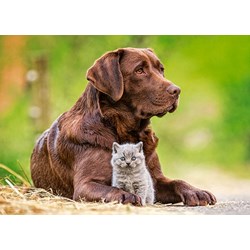 Castorland (B-13326) - "Big and Little" - 120 pezzi