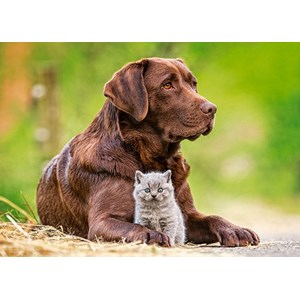 Castorland (B-13326) - "Big and Little" - 120 pezzi