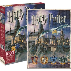 Aquarius (65252) - "Harry Potter - Hogwarts" - 1000 pezzi
