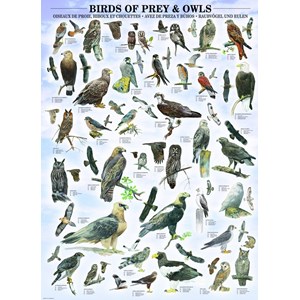 Eurographics (6000-0316) - "Birds of Prey and Owls" - 1000 pezzi