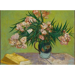 Grafika Kids (00438) - Vincent van Gogh: "Oleanders,1888" - 300 pezzi