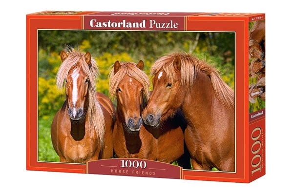 Castorland (C-103959) - "Horse Friends" - 1000 pezzi