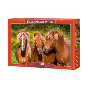 Castorland (C-103959) - "Horse Friends" - 1000 pezzi