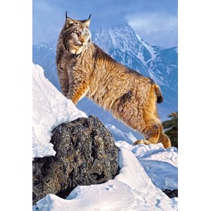Castorland (C-103560) - "Lynx" - 1000 pezzi