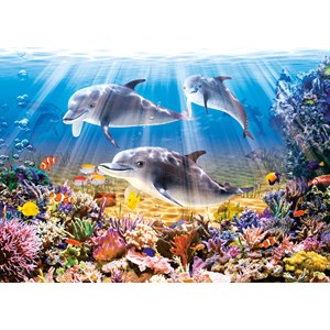 Castorland (B-52547) - "Dolphins Underwater" - 500 pezzi