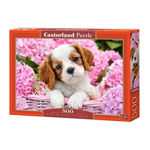 Castorland (B-52233) - "Pup in Pink Flowers" - 500 pezzi