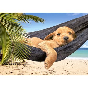 Castorland (B-52554) - "Leisure Time" - 500 pezzi