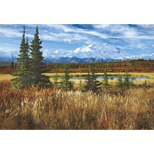 Educa (16008) - Rodney Lough Jr.: "Denali National Park" - 1500 pezzi