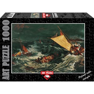 Art Puzzle (81049) - "Shipwreck" - 1000 pezzi