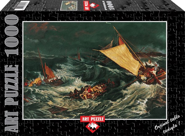 Art Puzzle (81049) - "Shipwreck" - 1000 pezzi