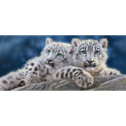 Castorland (B-060115) - "Snow Leopard Cubs" - 600 pezzi
