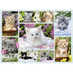 Ravensburger (14196) - "Kittens in their baskets" - 500 pezzi