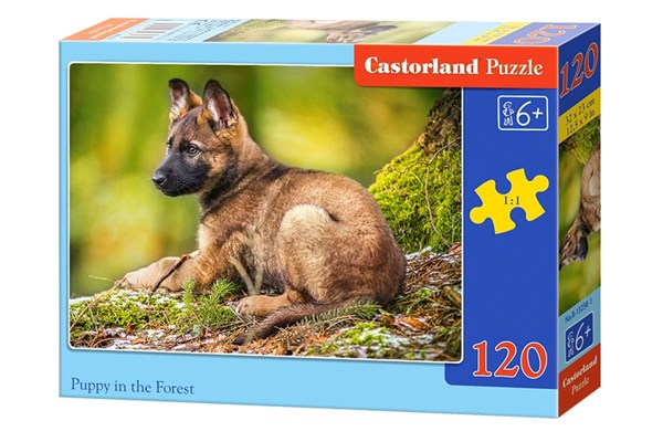 Castorland (B-13258) - "Puppy in the Forest" - 120 pezzi