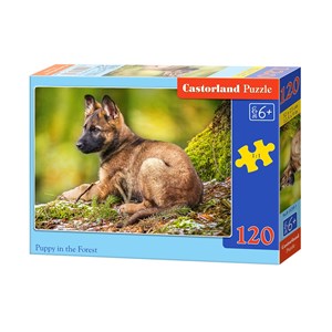 Castorland (B-13258) - "Puppy in the Forest" - 120 pezzi