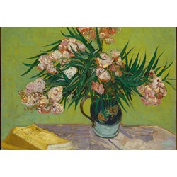 Grafika Kids (00439) - Vincent van Gogh: "Oleanders,1888" - 100 pezzi
