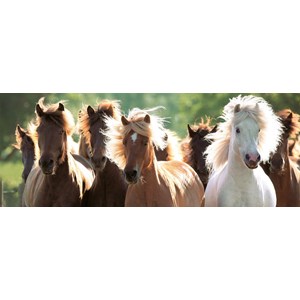 Ravensburger (15091) - "Wild Horses" - 1000 pezzi