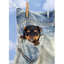 Art Puzzle (4163) - "I Get Dry!" - 500 pezzi