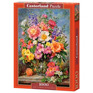 Castorland (C-103904) - "June Flowers in Radiance" - 1000 pezzi