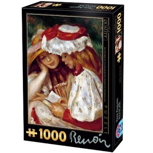 D-Toys (66909-RE08X) - Pierre-Auguste Renoir: "Two Girls Reading" - 1000 pezzi