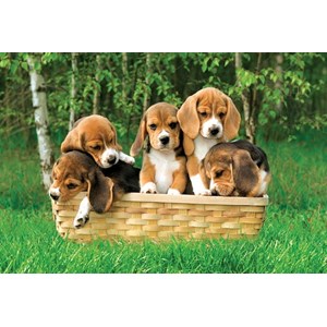 Trefl (17166) - "Beagle puppies, A Cute Basket" - 60 pezzi