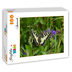 Grafika Kids (01222) - "Butterfly" - 100 pezzi