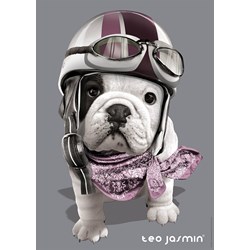 Nathan (87551) - "Teo" - 1000 pezzi