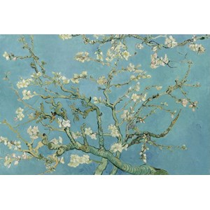 Grafika Kids (00042) - Vincent van Gogh: "Vincent van Gogh, 1890" - 100 pezzi