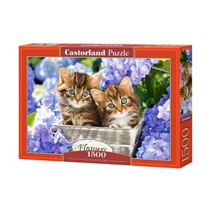 Castorland (C-151561) - "Cute Kittens" - 1500 pezzi