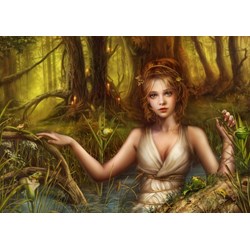 Grafika (T-00111) - Cris Ortega: "Never After" - 1000 pezzi