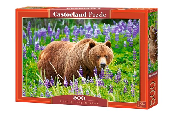 Castorland (B-52677) - "Bear on the Meadow" - 500 pezzi