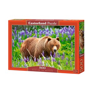 Castorland (B-52677) - "Bear on the Meadow" - 500 pezzi