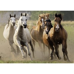 Nathan (87561) - "Herd of Wild Horses" - 1000 pezzi