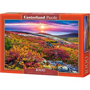 Castorland (C-103539) - "Northern Palette" - 1000 pezzi