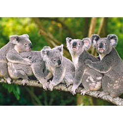 Castorland (B-13289) - "Koalas" - 120 pezzi