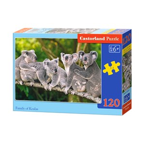 Castorland (B-13289) - "Koalas" - 120 pezzi