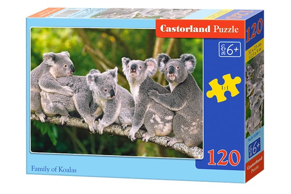 Castorland (B-13289) - "Koalas" - 120 pezzi