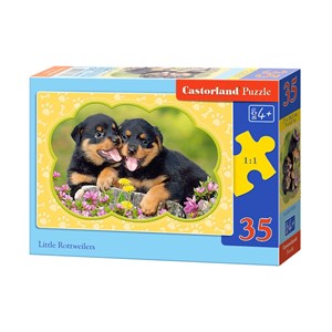 Castorland (B-035205) - "Little Rottweilers" - 35 pezzi