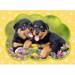 Castorland (B-035205) - "Little Rottweilers" - 35 pezzi