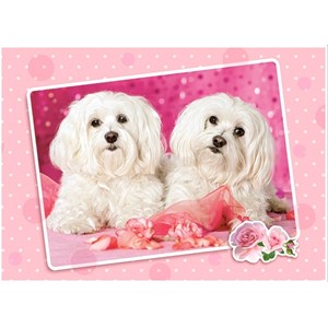 Castorland (B-13128) - "Two Doggies in Pink" - 120 pezzi