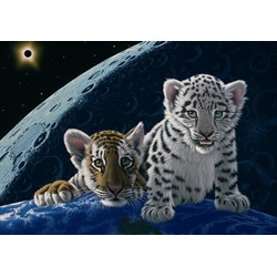 Grafika (02405) - Schim Schimmel: "Total Eclipse" - 1000 pezzi