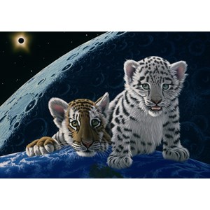 Grafika (02405) - Schim Schimmel: "Total Eclipse" - 1000 pezzi