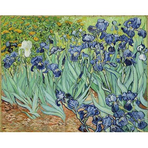 Piatnik (5331) - Vincent van Gogh: "Iris" - 1000 pezzi