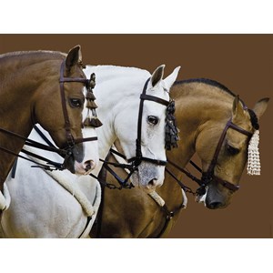 Ravensburger (16339) - "Fortune's Dream" - 1500 pezzi