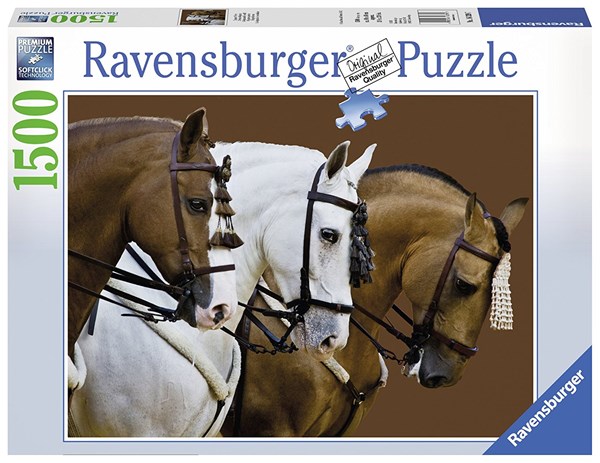 Ravensburger (16339) - "Fortune's Dream" - 1500 pezzi