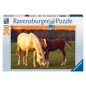 Ravensburger (14347) - "Beautiful Horses" - 500 pezzi