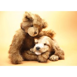 Tactic (40912) - "Puppy and A Teddy" - 1000 pezzi