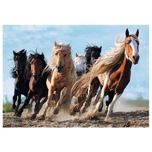 Trefl (10446) - "Galloping Horses" - 1000 pezzi